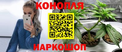 mdpv Кандалакша
