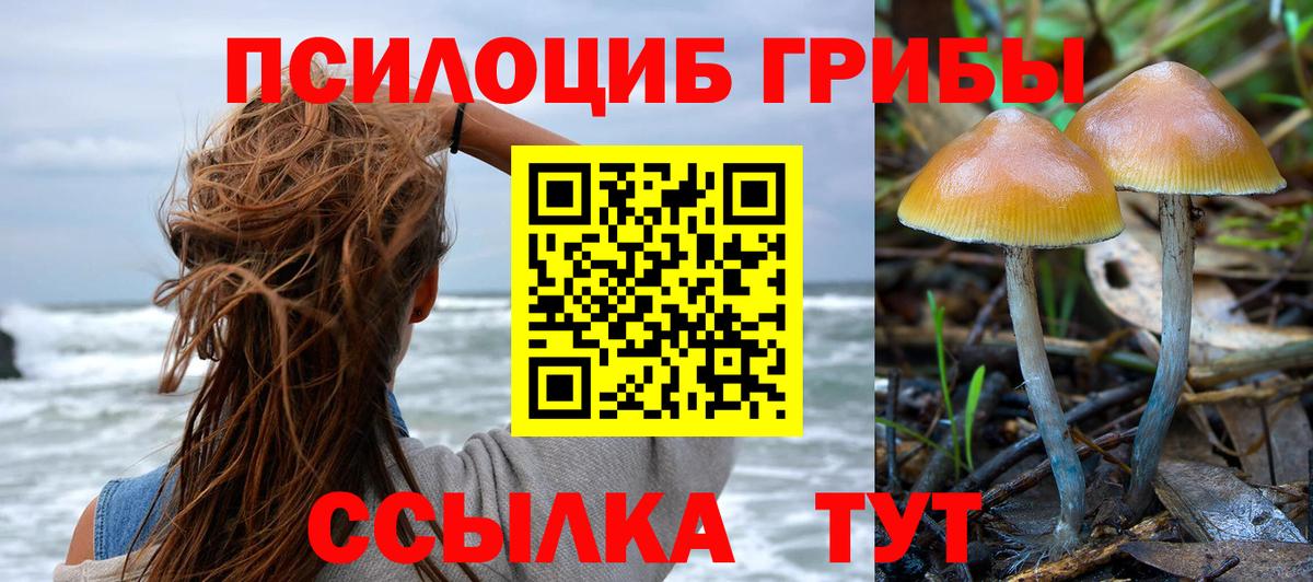 Псилоцибиновые грибы мухоморы  Вход с VPN  Кохма 