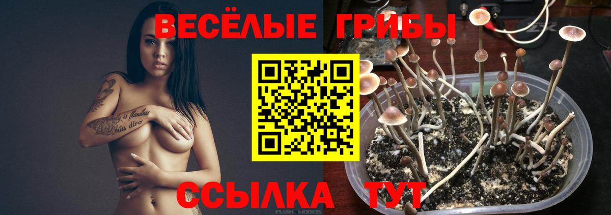 Псилоцибиновые грибы мухоморы Кохма
