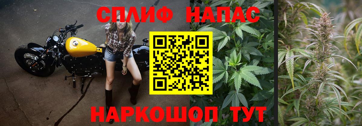 Шишки марихуана план  Вход с VPN  Кохма  Конопля марихуана 